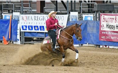 Reining Cow Horses with Jacob Anderson