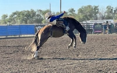 Roughrider Rodeo Finals: Family Strong Since 1981