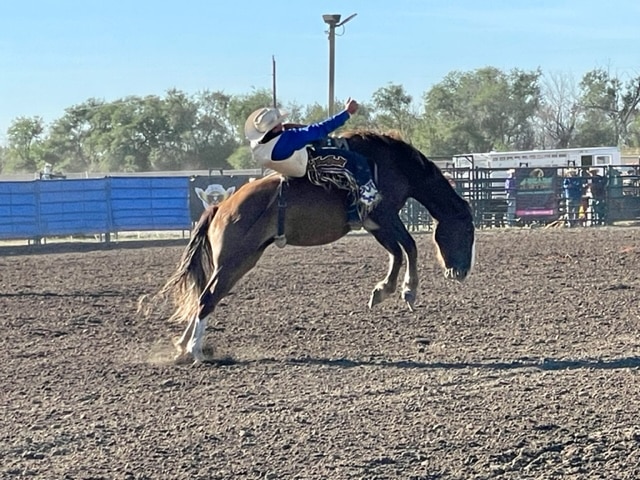 Roughrider Rodeo Finals: Family Strong Since 1981