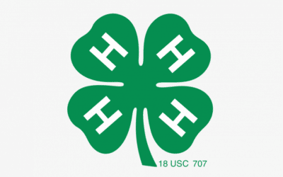 4-H: Variety of Project Areas