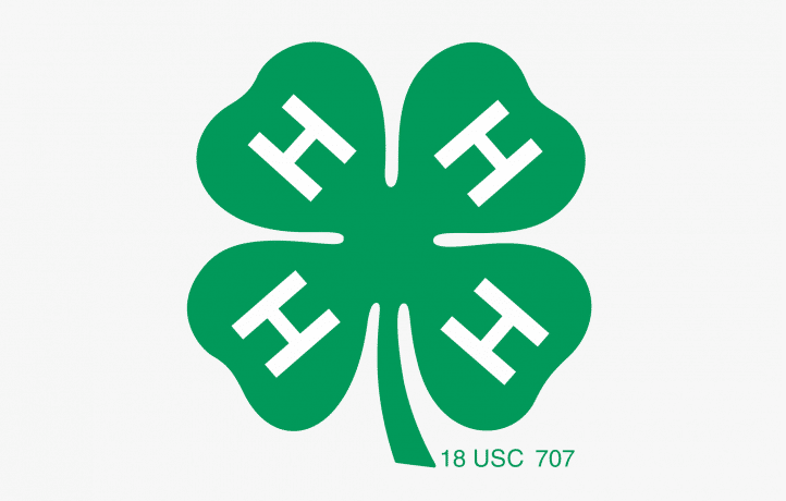 4-H: Variety of Project Areas