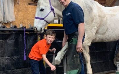 From the Farrier: Horse & Shoe Insights with Allan Voeller, CJF