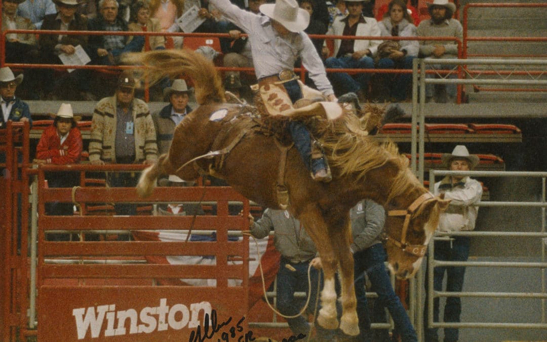 The World Needs More Bronc Riders