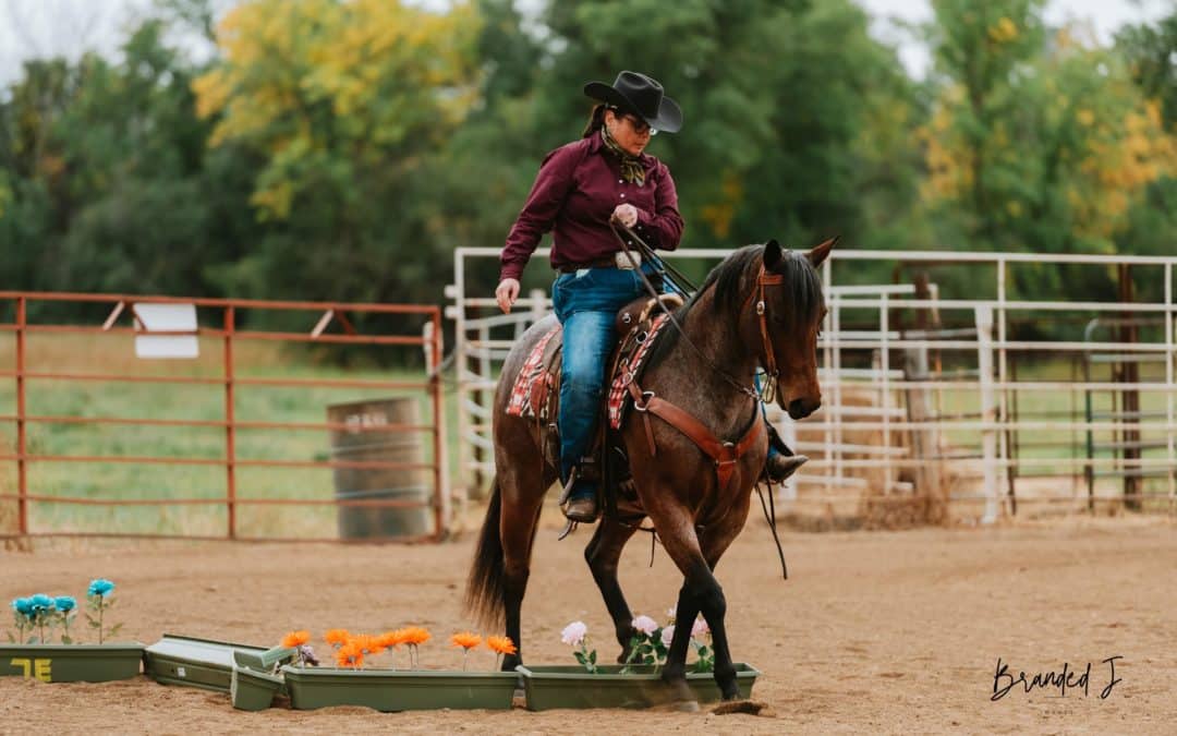 Horsemanship Challenge takes on Velva Rodeo Grounds