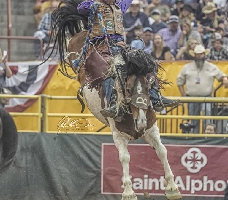 Bailey Pro Rodeo  Badlands Circuit Finals: Part 2