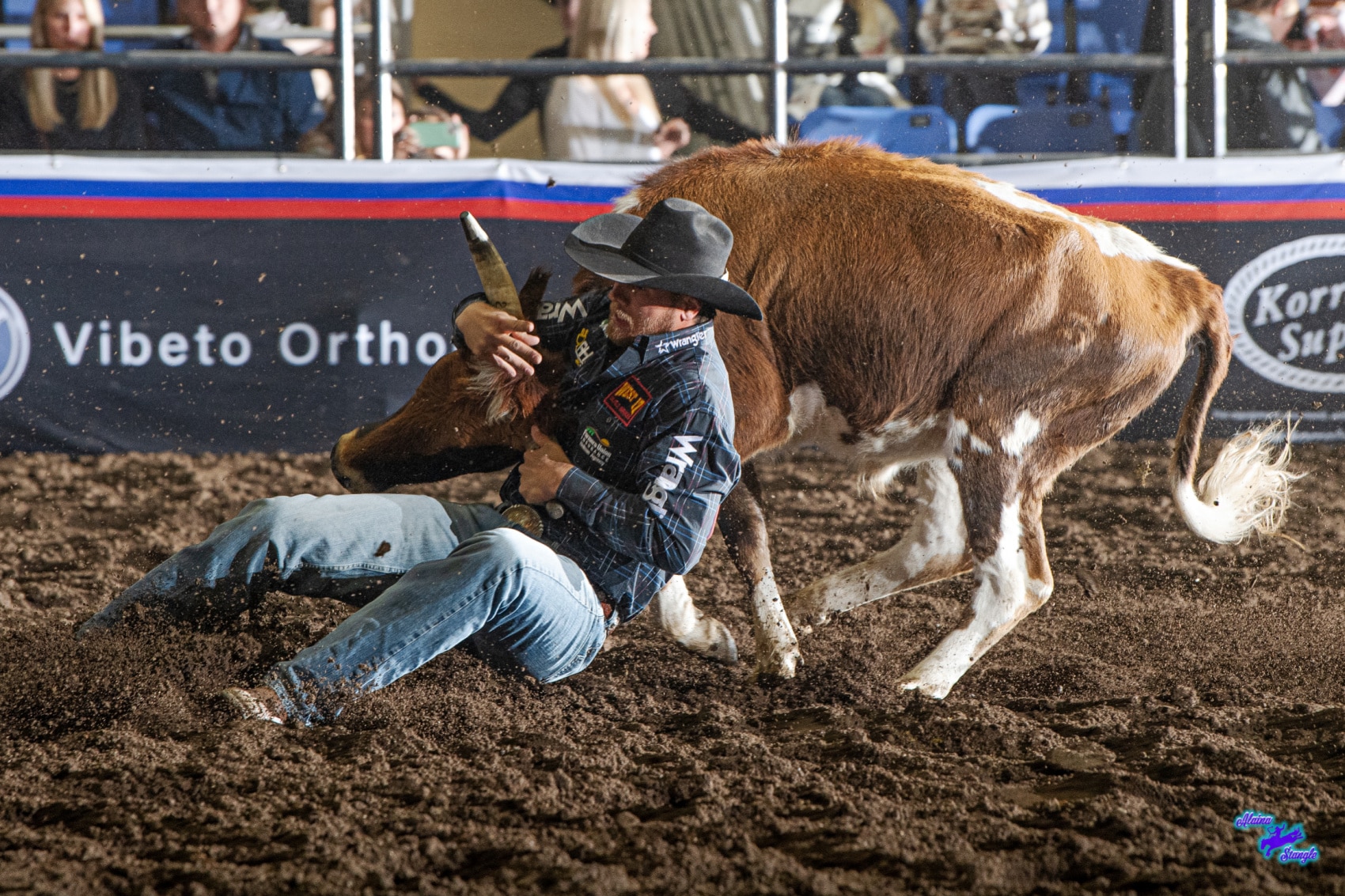 Rodeo Game Plan Badlands Circuit Finals continues with second round of