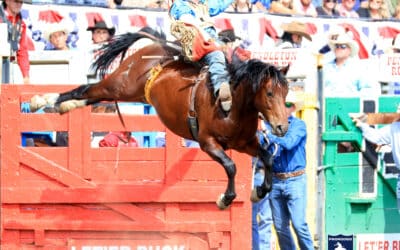 Bareback Riding with Ty Breuer