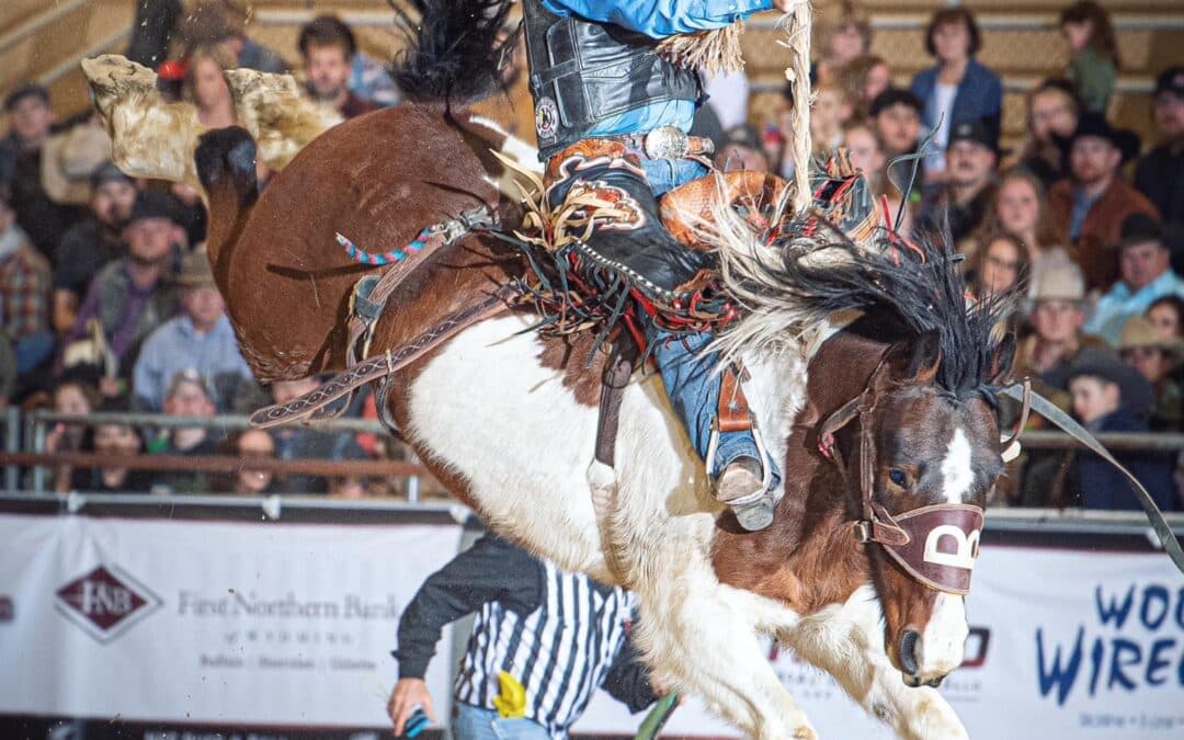 Bailey Pro Rodeo January Update