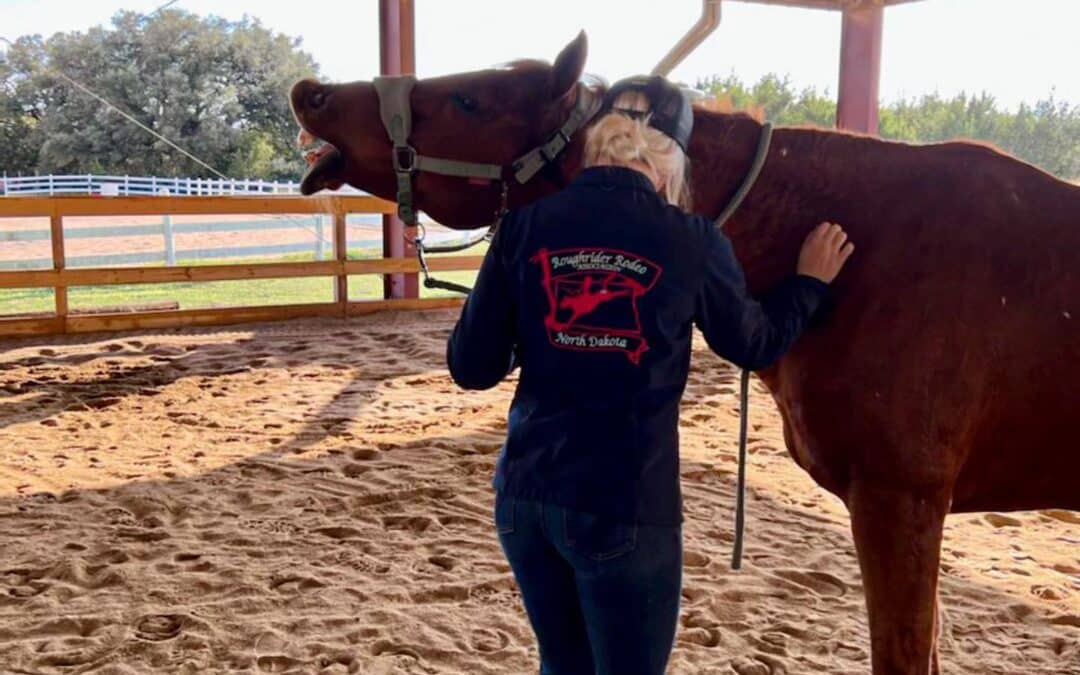 Alternative Care for Equine