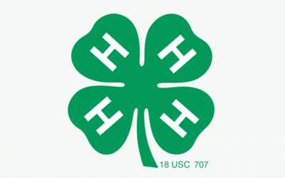 4-H’ers Lending a Hand in April