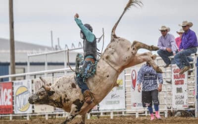 The Rodeo Athlete & Shoulder Care