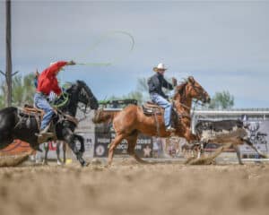 Team roping athletes. [Photo: 4 Bar C Photography]