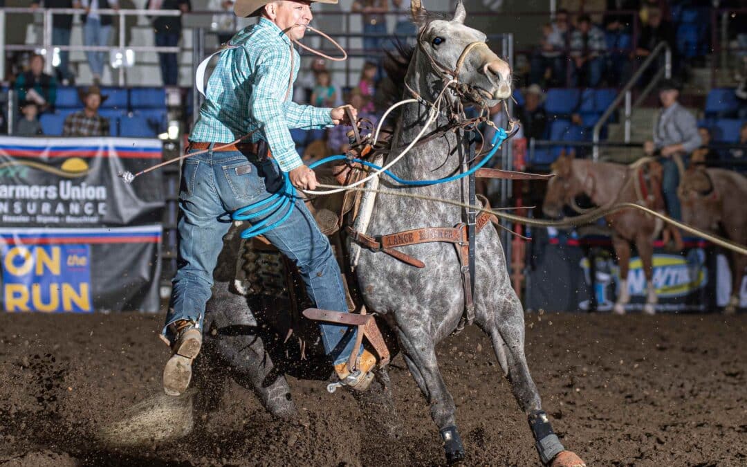 Horses Selected as Award Winners in the Badlands Circuit